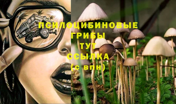 соль курить ск Алексеевка