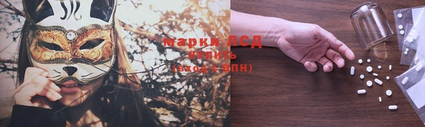 стаф Алексин