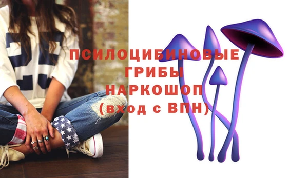 стаф Алексин