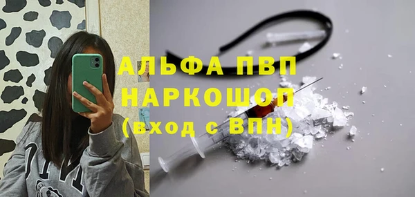 стаф Алексин