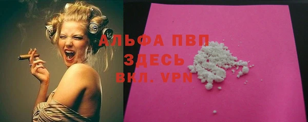 стаф Алексин