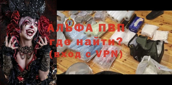 стаф Алексин