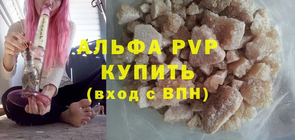 стаф Алексин
