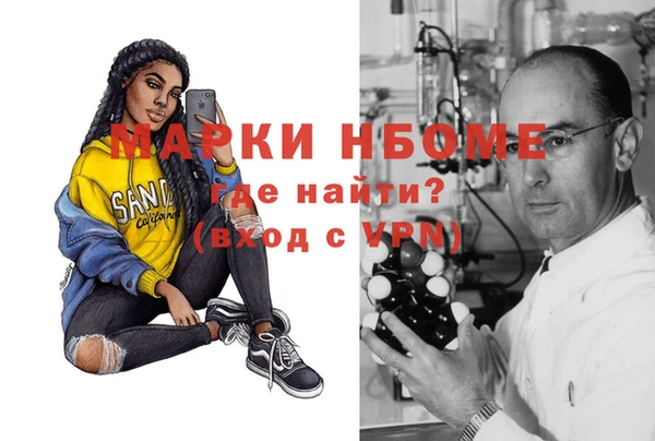 стаф Алексин