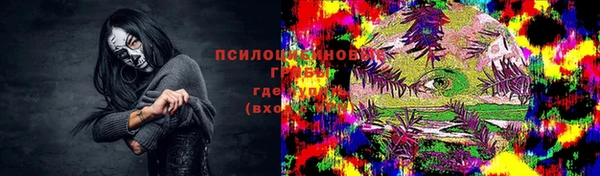 стаф Алексин