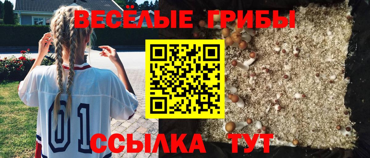 Псилоцибиновые грибы прущие грибы Балашиха