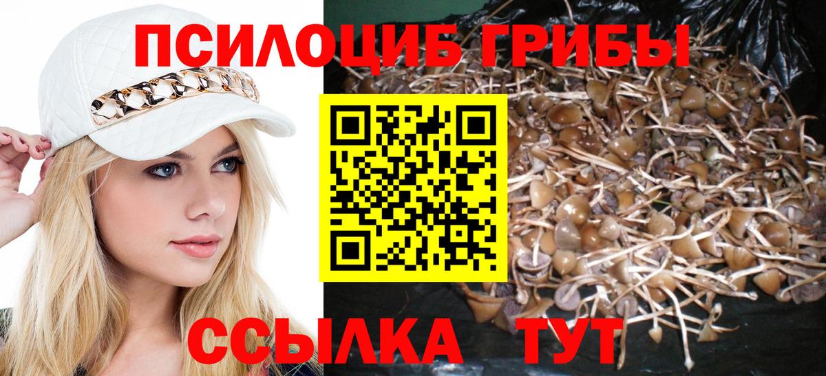 Псилоцибиновые грибы MAGIC MUSHROOMS  Вход с VPN  Балашиха 